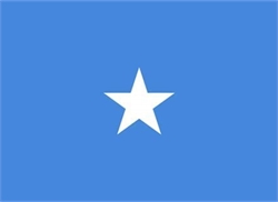 [ai] A simple flag featuring a light blue background with a single white five-pointed star in the center.